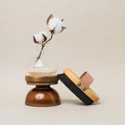 The Ionic Dry Brush Brosse Corps Ionique 15 The Ionic Dry Brush Brosse Corps Ionique -L:A Bruket Soldes 07 2021 Ruhi encart inspiration Ionic Brush2TINY