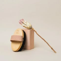 The Ionic Dry Brush Brosse Corps Ionique 17 The Ionic Dry Brush Brosse Corps Ionique -L:A Bruket Soldes 07 2021 Ruhi encart inspiration Ionic Brush4TINY