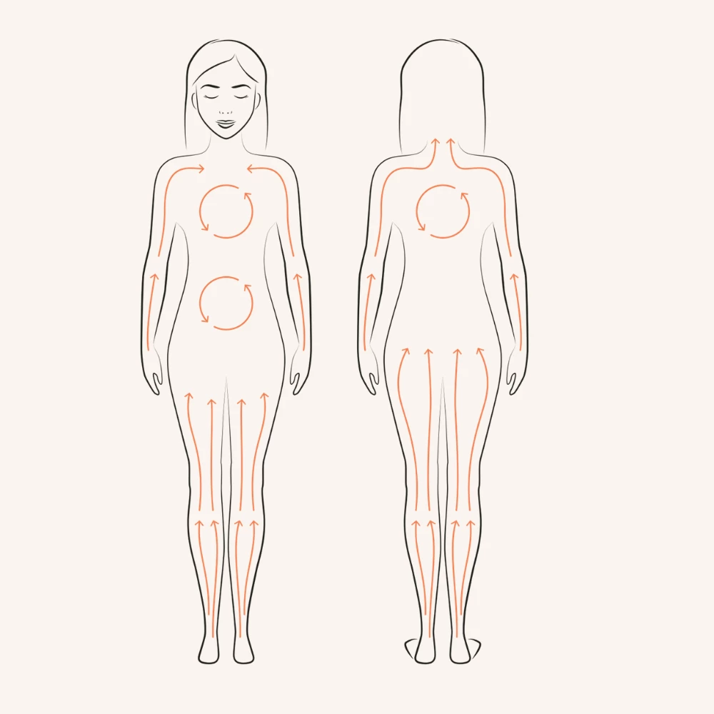 The Dry Brush Brosse Corps Classique 6 The Dry Brush Brosse Corps Classique – Image 4