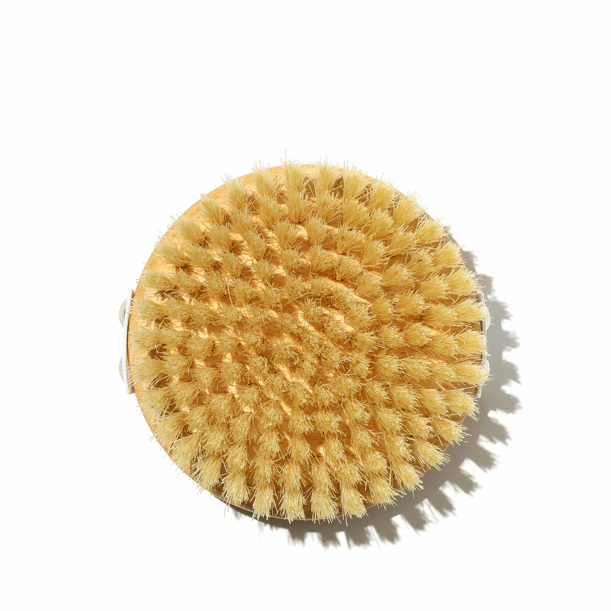 The Dry Brush Brosse Corps Classique 3 The Dry Brush Brosse Corps Classique