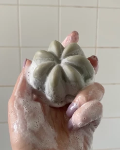 Le Shampoing Solide Detox 9 Le Shampoing Solide Detox -L:A Bruket Soldes Captured ecran2023 06 05a10.37.20