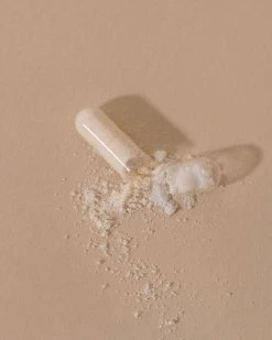 Microbiote & Nombril Compléments Digestion 9 Microbiote & Nombril Compléments Digestion -L:A Bruket Soldes Microbiote et Nombril 3