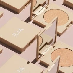 Daylite Highlitghting Powder Enlumineur Poudre -L:A Bruket Soldes bloc inspi daylite1 TINY